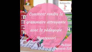 222. Comment rendre la grammaire attrayante avec la pédagogie Montessori