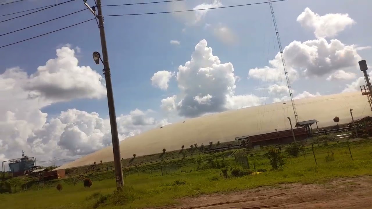 Suwasana Area PT Mustika Sembuluh 1 Wilmar Km 62 Sampit - P-bun 2022@yusro_kalteng