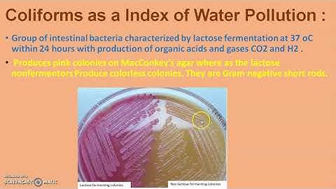 UNIT 2 WATER MICROBIOLOGY    3