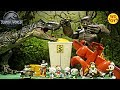 New T-Rex Vs King Kong Ducktales Toys Jurassic World Fallen Kingdom Dinosaur Toys Battle WD Toys
