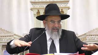 הרב אברהם ישראל שליט"א-פרשת שופטים תשפ"ו