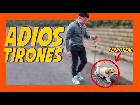 TU PERRO TIRA DE LA CORREA PORQUE NO SABES ESTO (Solución FÁCIL Y RÁPIDA) 🐶