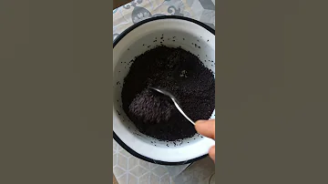 Как приготовить маковую начинку .