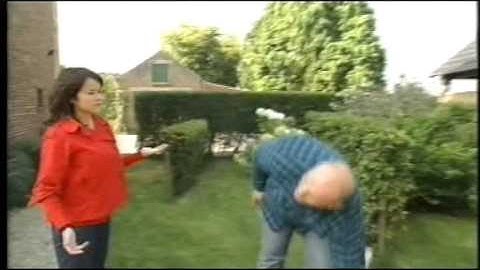 Pascal Laloux   Niouz Tv