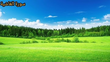 سورة الغاشية كاملة- القارئ علي عبد السلام اليوسف