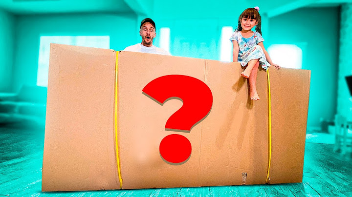 ABRIMOS A CAIXA GIGANTE PRA VER O QUE TEM DENTRO - Família Brancoala em Orlando EUA