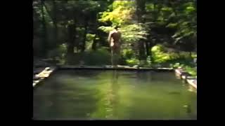 Rolf Lauter: Bill Viola: The Reflecting Pool, 1979. Lecture Museum für Moderne Kunst, Frankfurt 1994