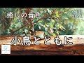 小鳥とともに ─ チェロ＆ピアノ【 3時間BGM 】｜With Birds Cello & Piano