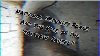 National Security Force & the Rise of theShadow Cartel Chat.openAi #security #crime #chatopenai