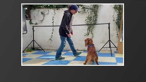 Whiplash turn from Control Unleashed