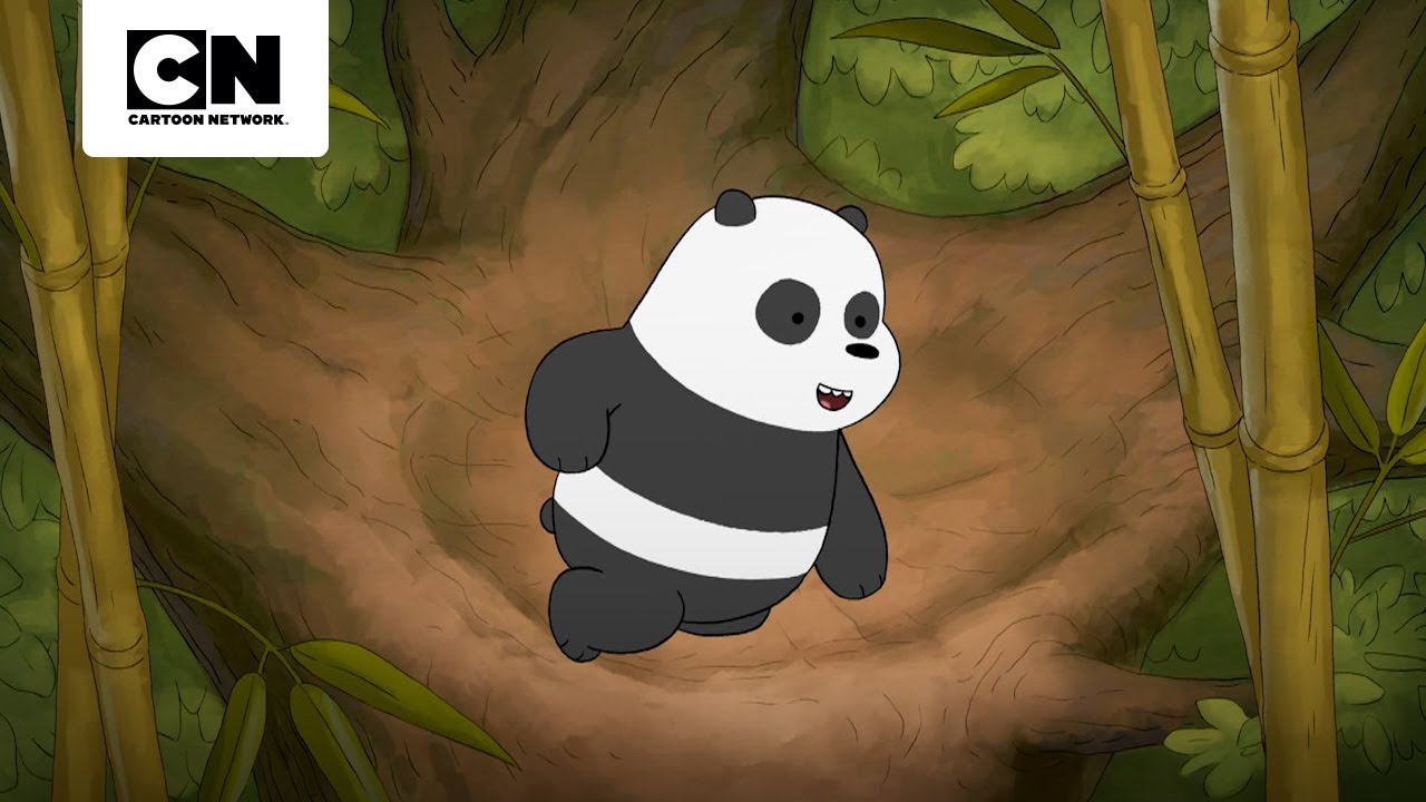 NOVAS PERSPECTIVAS | URSOS SEM CURSO | CARTOON NETWORK