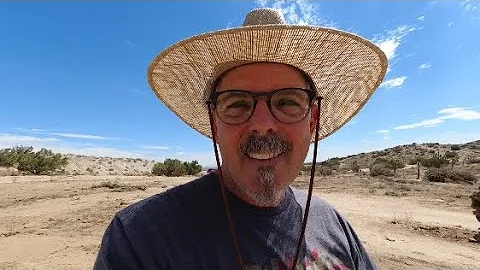 Desert Plein Air Painting - Fascinating Joshua Trees