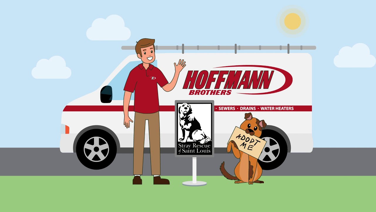 Hoffmann Brothers & Stray Rescue 2021 YouTube