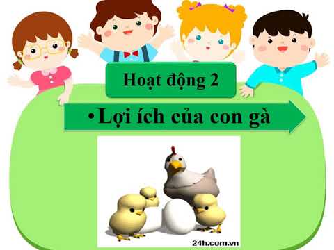 Lớp 1- Tuần 25 - Tự nhiên và xã hội - Bài 25+26+27+28: Con vật quanh em (trang 52->59) - Tiết 2