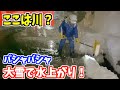 2023-01-29 除雪、水上がり 大雪警報出なかったから精神的に打ちのめされた今朝の積雪量70cm