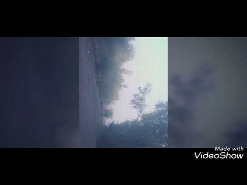 وليد البويضا سلمي