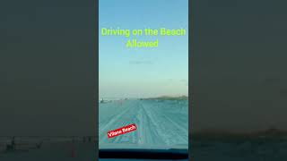 Weekend Fun!