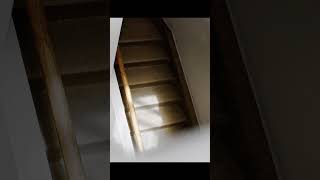 The Family Found a Hidden Room Underground... #horrorstories #truecrimecommunity #scarystories