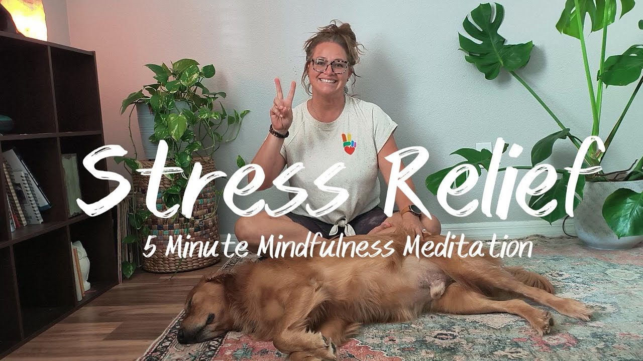 5-minute Mindfulness Meditation for Stress Relief - YouTube
