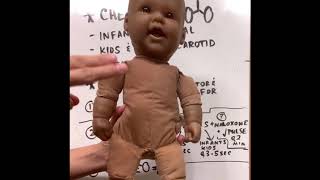 BLS Part 1--Infant, Child and Adult CPR and Choking 2020