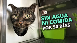 Lo dejaron ENCERRADO en el apartamento POR 50 DÍAS
