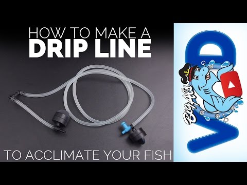How To Make
