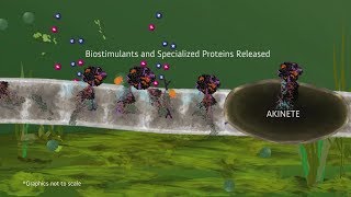 PondZilla Pro for Wastewater