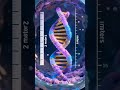 Seu DNA é absurdamente gigante.