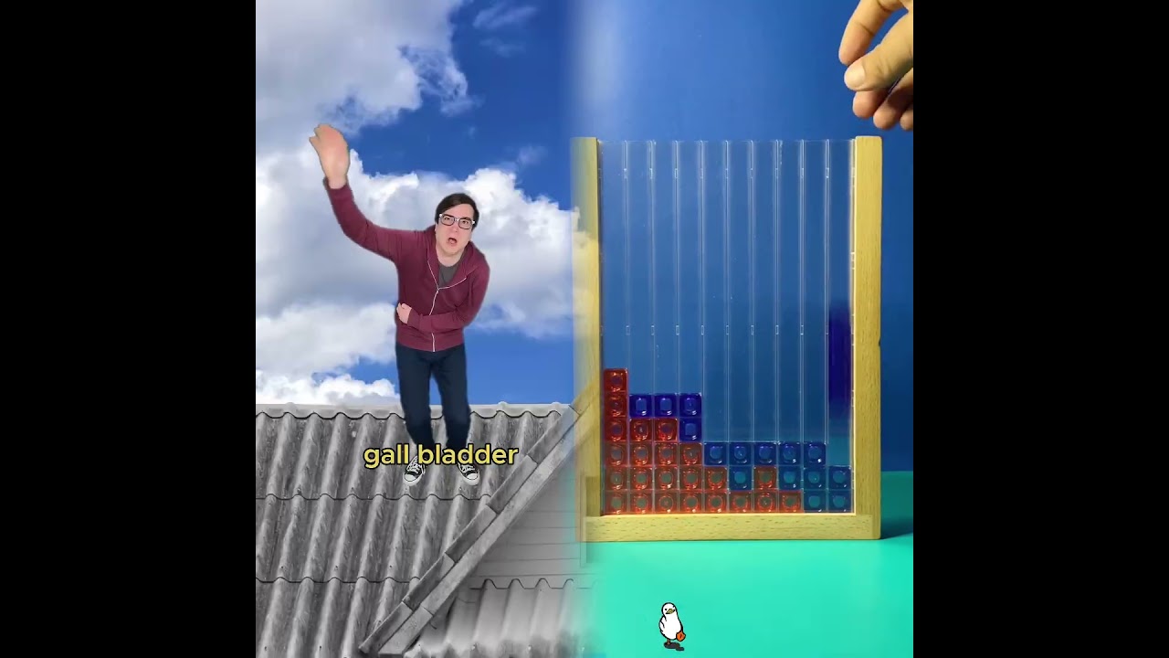 Tooth Fairy's weird cousin 