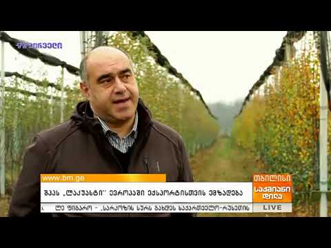 რომან ჩხენკელი/TV პირველი 2018 წ.