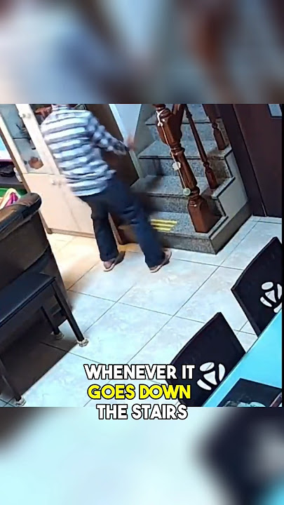 This cat copies his owner and scares him #shorts