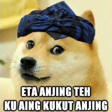 Cangehgar anjing lucu banget😂
