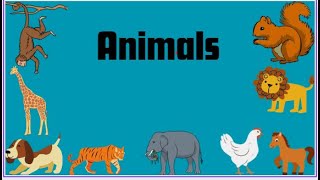 Animals of the World - Learning the Different Names and Sounds of the Animal Kingdoms