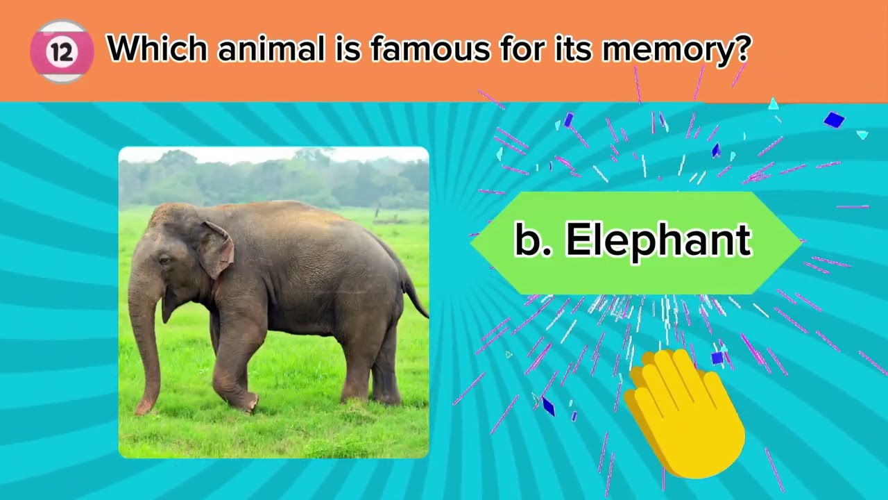 Fun Animal Sorting Game for Kids – Learn & Play!