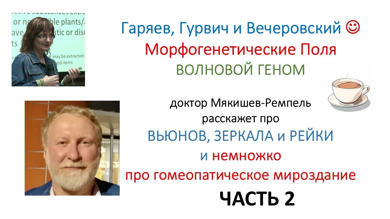 Волновой Геном (часть 2) Вечеровский и Рейки с Максом Ремпелем