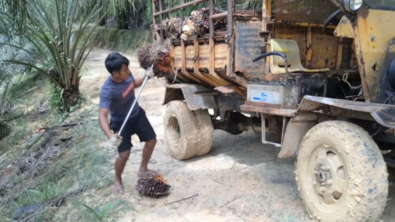 Mobil tua di ajak main lumpur sampai ampun-ampun