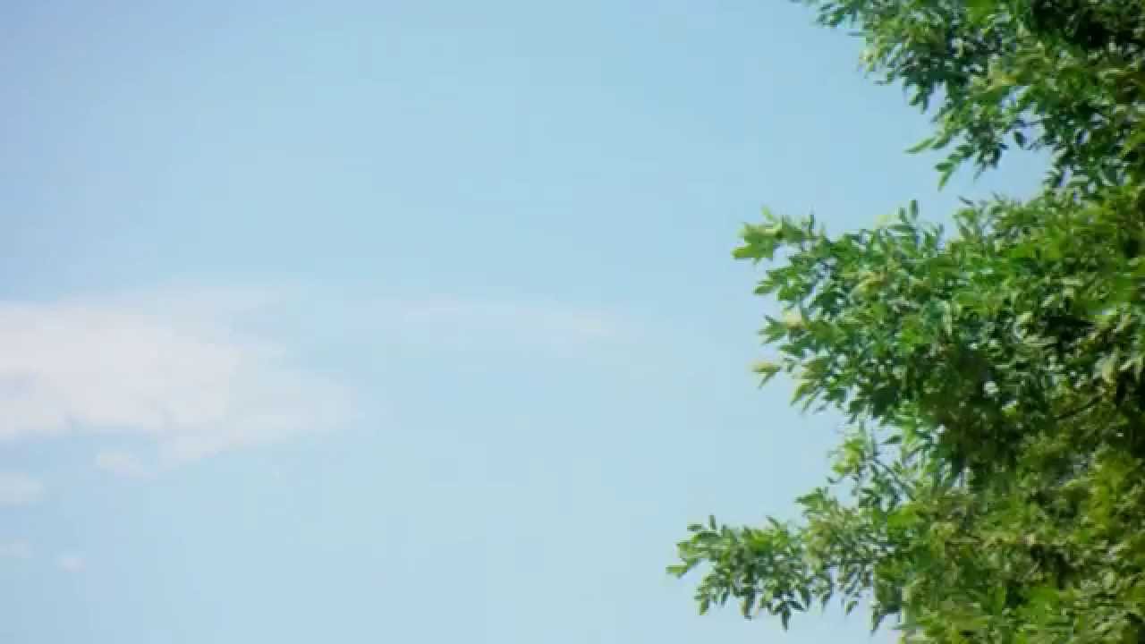 CF-18 - Rolls and High G's - CIAS 2013