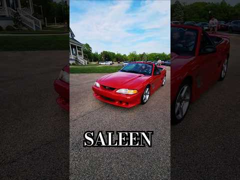 🔴 Red Saleen