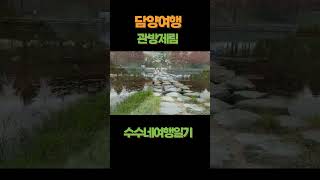 담양여행-관방제림. 이국적인 분위기의 데이트 명소. #가을여행지 #travel #관방제림 #담양여행 #담양가볼만한곳 #단풍 #가을