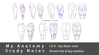 My Anatomy Study Notes LX-8 | Female hip and leg rotation from front to back - top down view