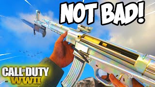 I Used a Subscribers Class Setup in COD WW2..