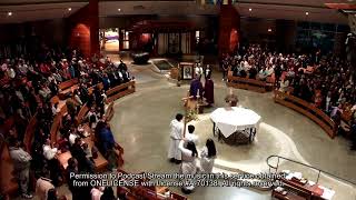 Miércoles de Ceniza -18 de Febrero de 2026 (Esapñol)