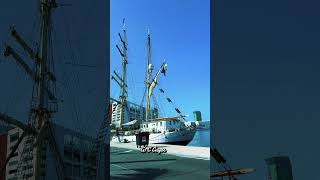 Gunilla is a Swedish 3-masted bark and sail training ship #longship #shipspotter #shipspotting