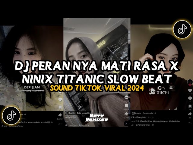 DJ PERAN NYA MATI RASA X NINIX TITANIC SLOW BEAT || DJ CAMPURAN SLOWED REVERD VIRAL TIKTOK 2024 class=