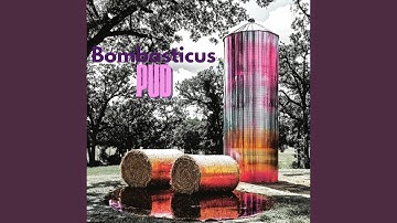 Measure Twice, Cut Once