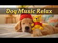 Спокойная музыка для собак 🐕 Снятие стресса, гармония и расслабление для любимого питомца 🎶💕