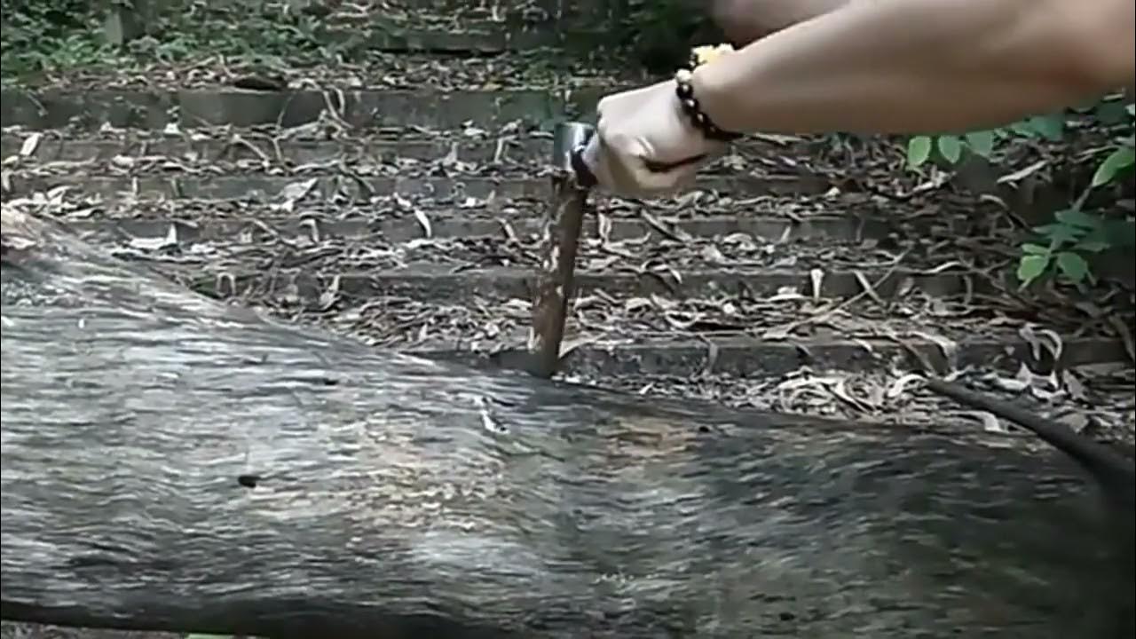 Шнекове свердло по дереву (бур) 25мм + чохол / Свердло для виживання в ...