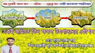 একই জমিতে তিন ফসল উৎপাদন কৌশল