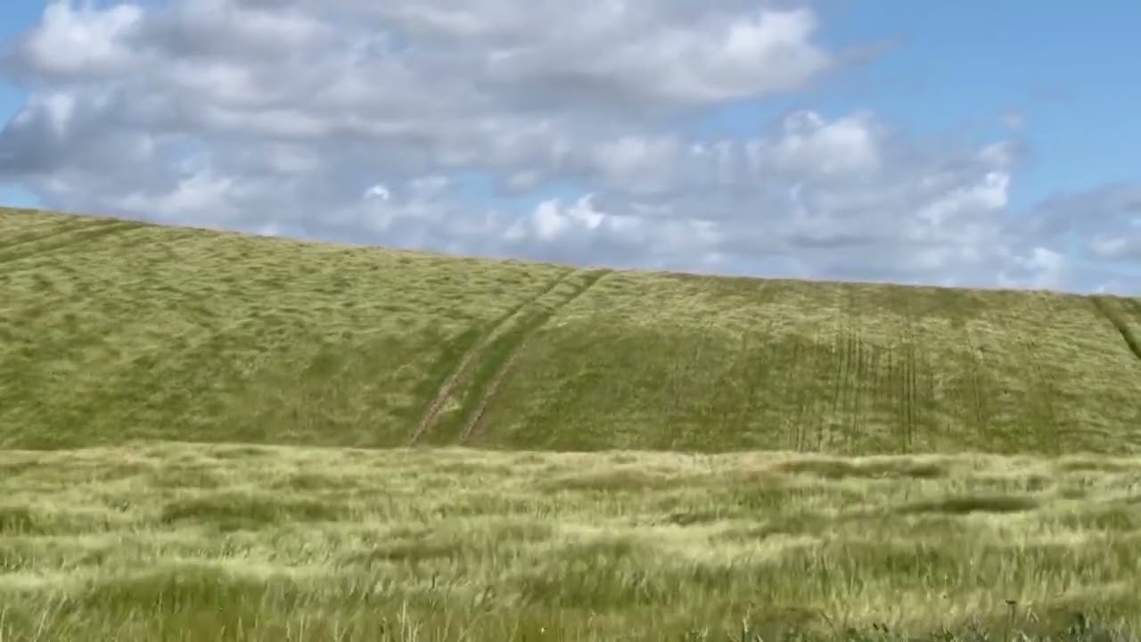 Entspannende Wind Geräusche zum Einschlafen auf freien Feld. (Windgeräusche  zur Entspannung)