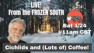 Let's Stay In, Keep Warm, and Talk about Keeping Tropical Fish (While the Outside World Freezes)!